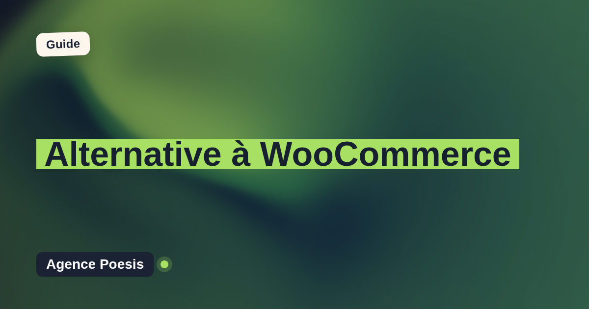 Alternative à WooCommerce : le sur-mesure dont vous êtes propriétaire (2026)