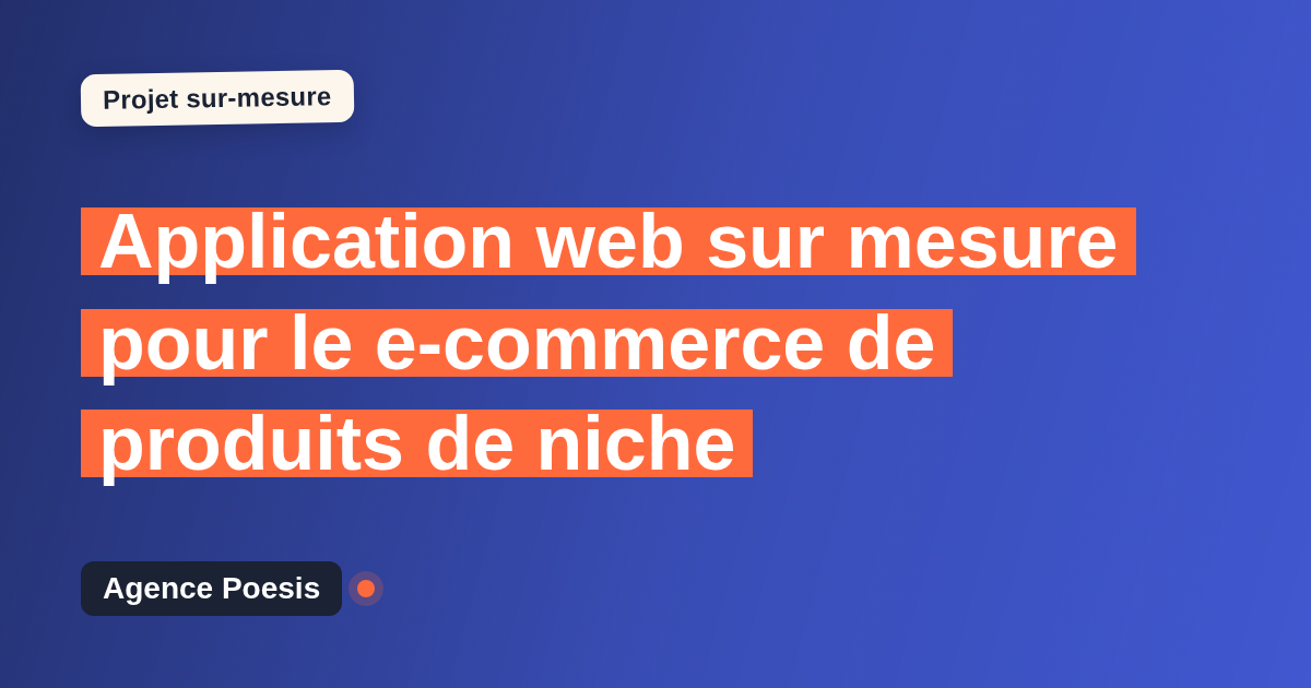 Application web sur mesure pour le e-commerce de produits de niche : sur-mesure et sans dépendance