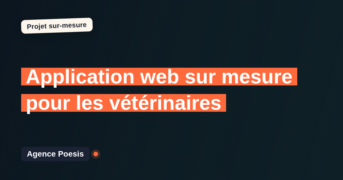 Application web sur mesure pour les vétérinaires : sur-mesure et sans dépendance