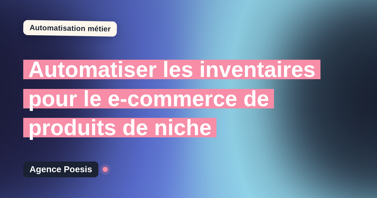 Automatiser les inventaires pour le e-commerce de produits de niche : méthode, coûts et ROI