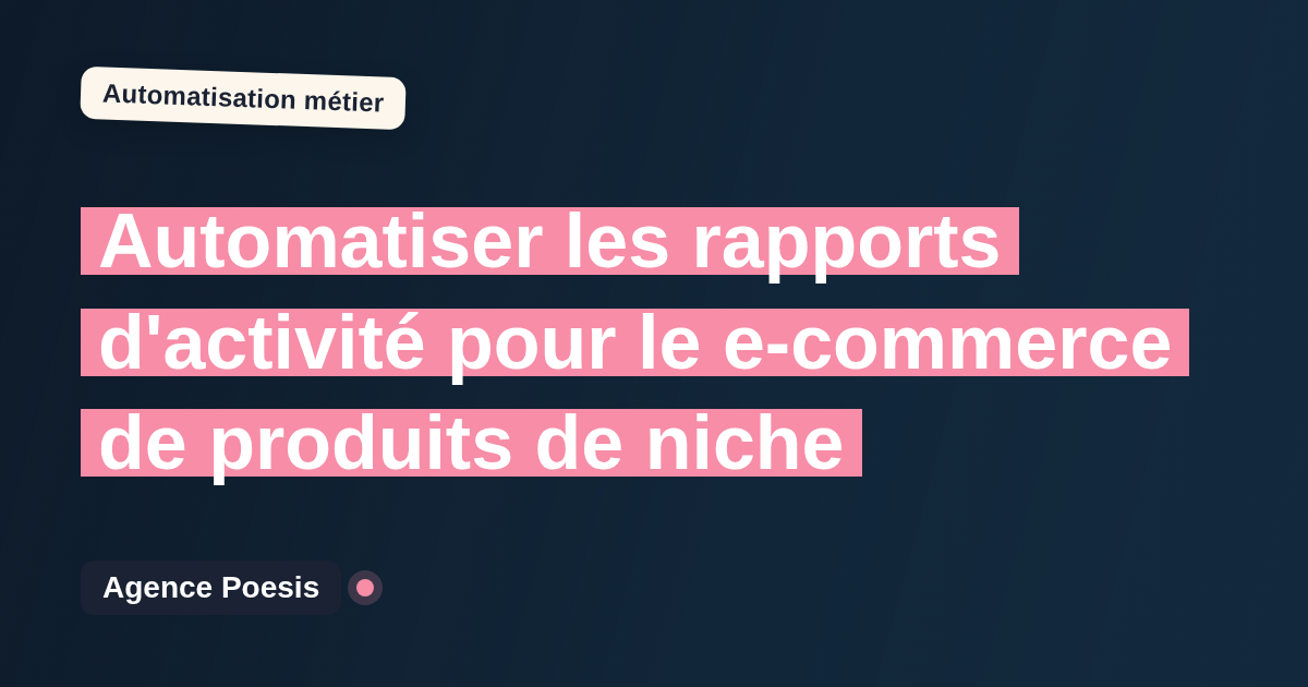 Automatiser les rapports d'activité pour le e-commerce de produits de niche : méthode, coûts et ROI