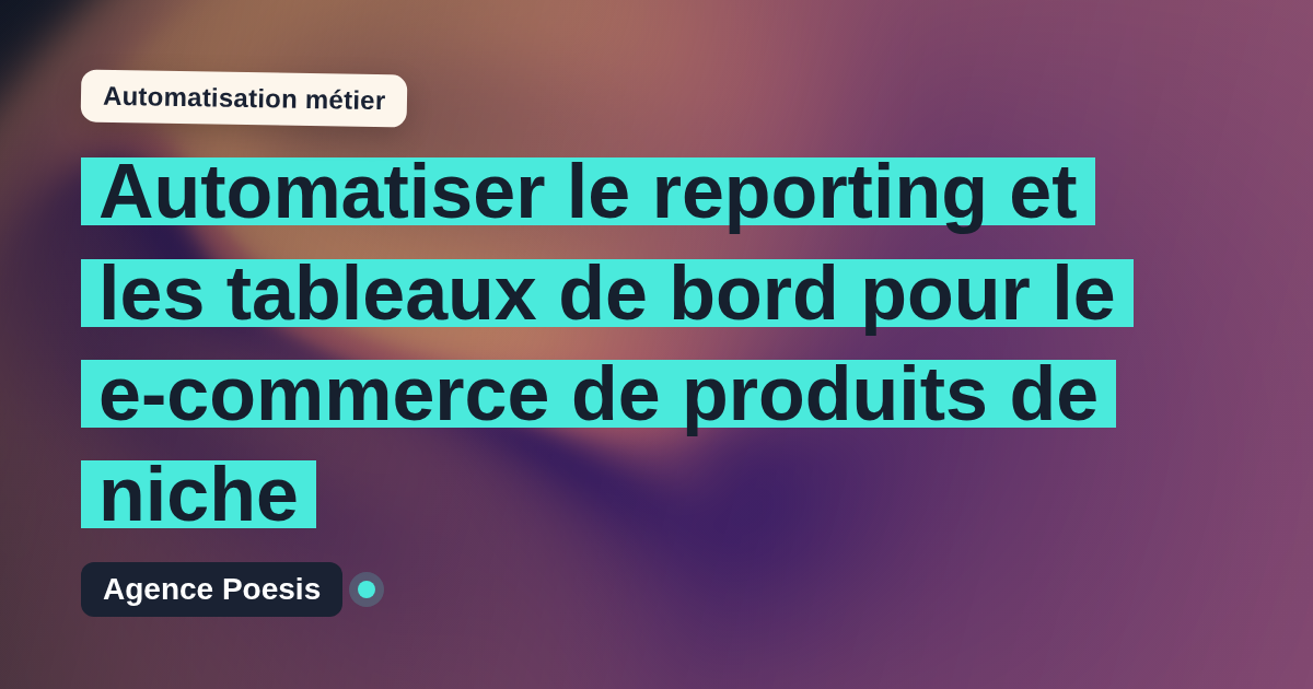 Automatiser le reporting et les tableaux de bord pour le e-commerce de produits de niche : méthode, coûts et ROI