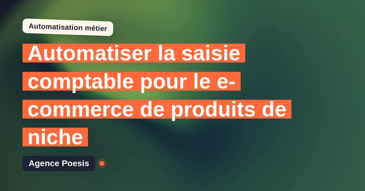 Automatiser la saisie comptable pour le e-commerce de produits de niche : méthode, coûts et ROI