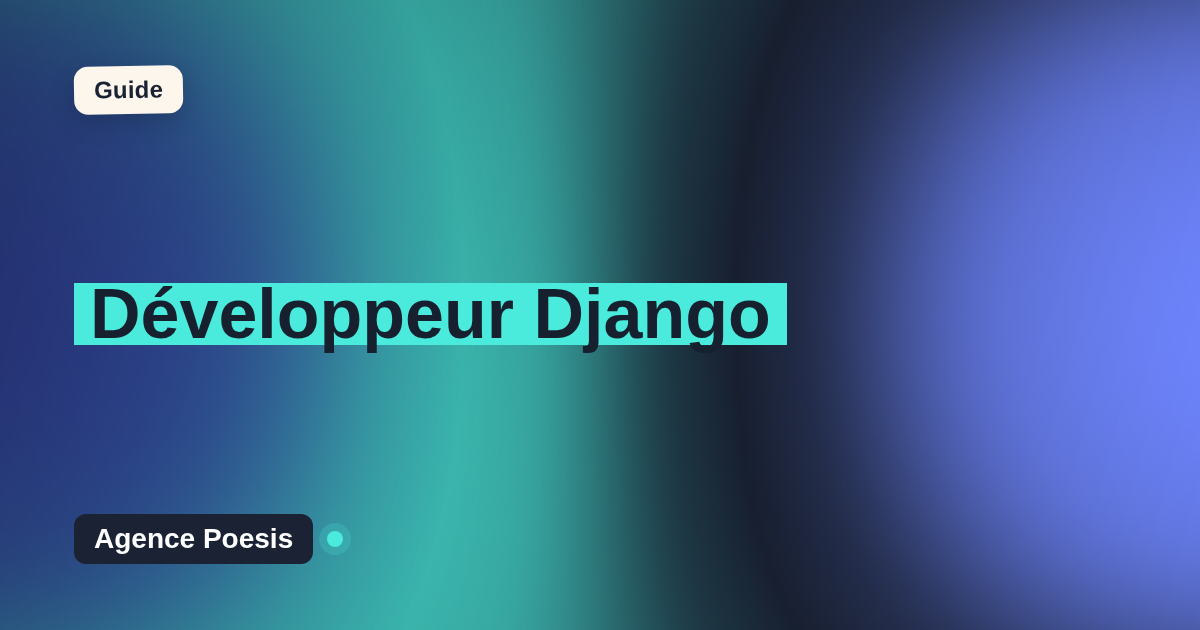 Développeur Django : agence ou freelance, comment choisir