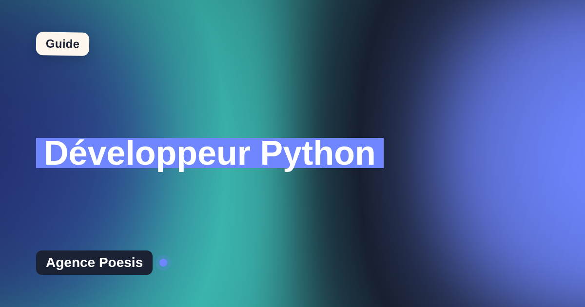 Développeur Python : agence ou freelance, comment choisir