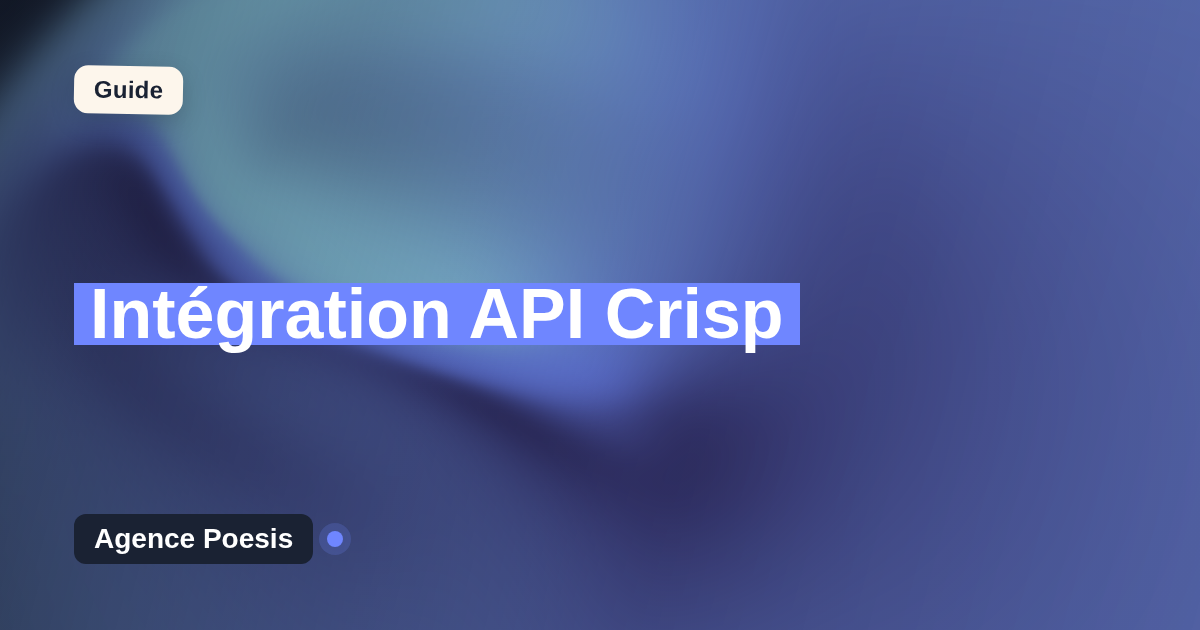 Intégration API Crisp : connectez-le à vos outils internes