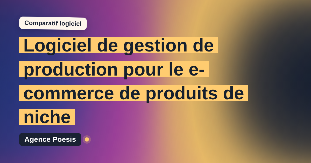Logiciel de gestion de production pour le e-commerce de produits de niche : le comparatif (marché vs sur-mesure)