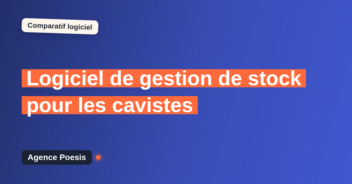 Logiciel de gestion de stock pour les cavistes : le comparatif (marché vs sur-mesure)