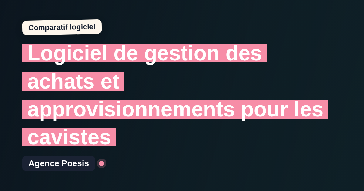 Logiciel de gestion des achats et approvisionnements pour les cavistes : le comparatif (marché vs sur-mesure)