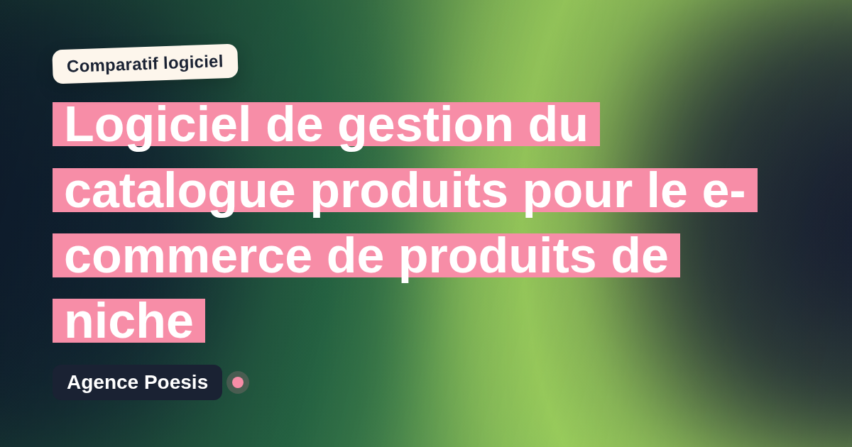 Logiciel de gestion du catalogue produits pour le e-commerce de produits de niche : le comparatif (marché vs sur-mesure)