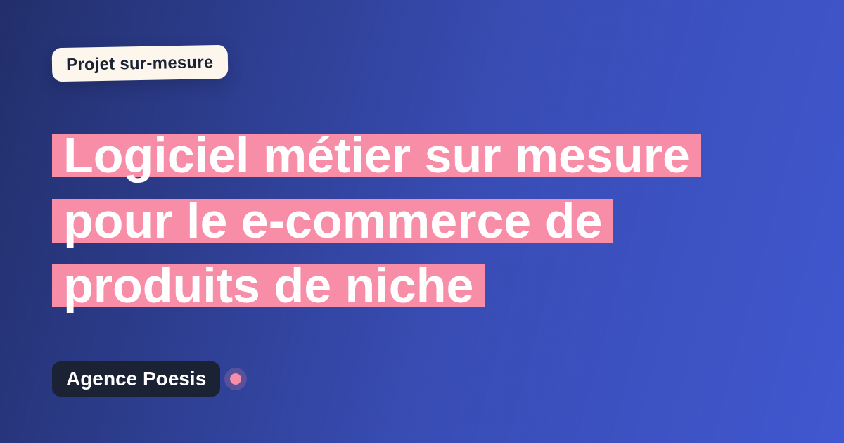 Logiciel métier sur mesure pour le e-commerce de produits de niche : sur-mesure et sans dépendance