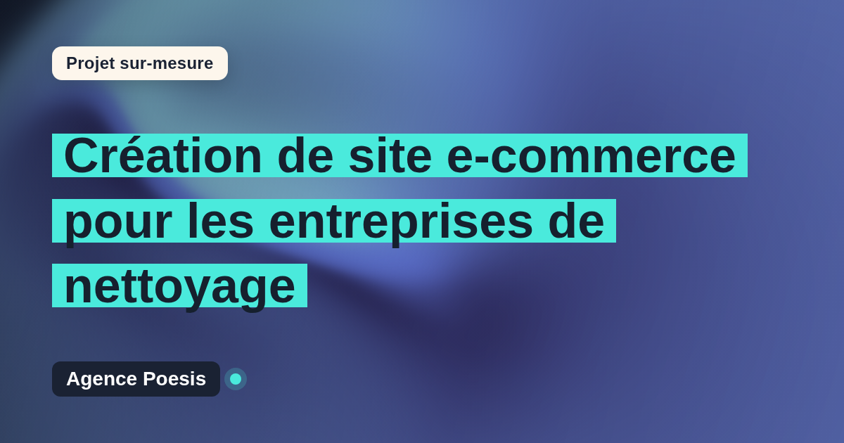 Création de site e-commerce pour les entreprises de nettoyage : sur-mesure et sans dépendance