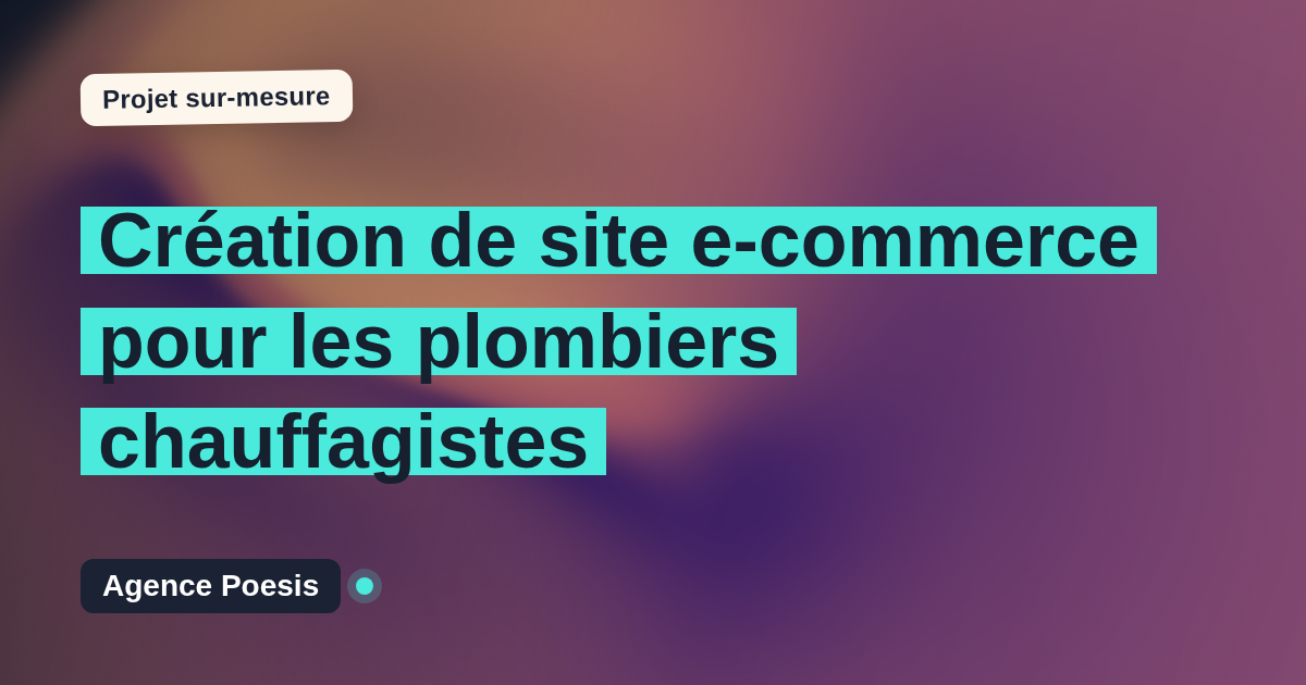 Création de site e-commerce pour les plombiers chauffagistes : sur-mesure et sans dépendance