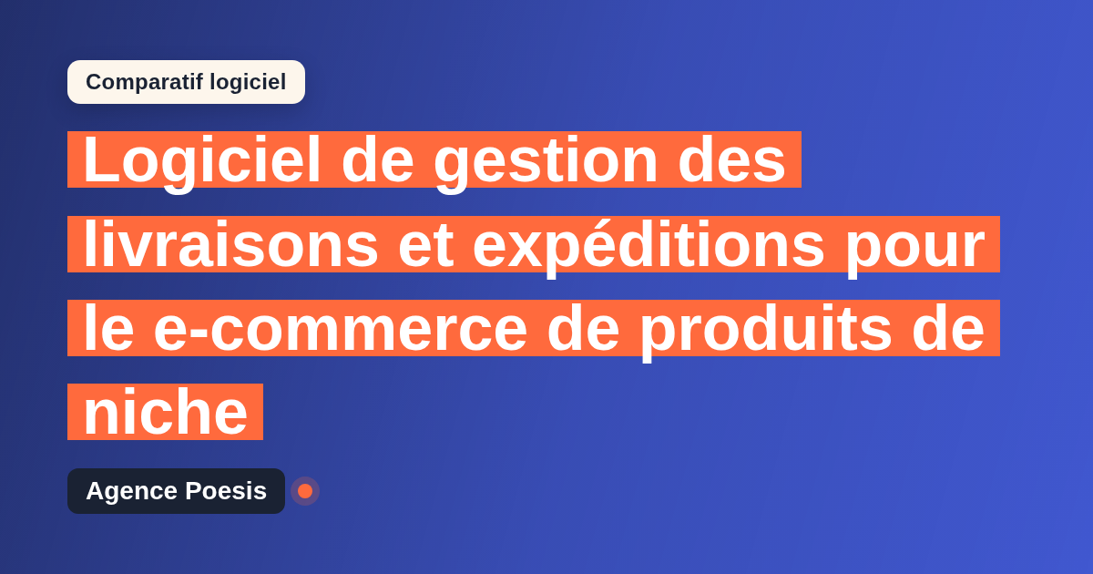 Logiciel de gestion des livraisons et expéditions pour le e-commerce de produits de niche : le comparatif (marché vs sur-mesure)