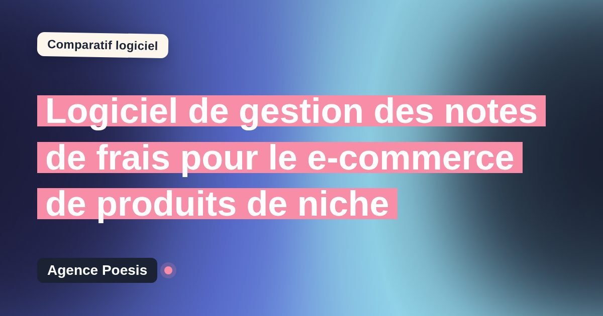 Logiciel de gestion des notes de frais pour le e-commerce de produits de niche : le comparatif (marché vs sur-mesure)