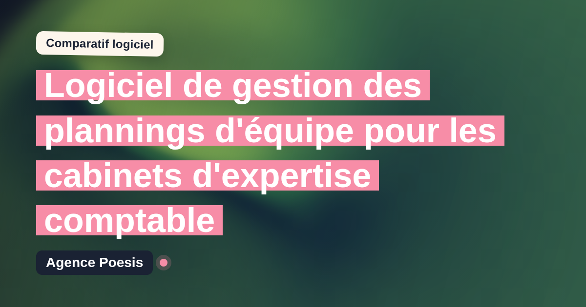 Logiciel de gestion des plannings d'équipe pour les cabinets d'expertise comptable : le comparatif (marché vs sur-mesure)
