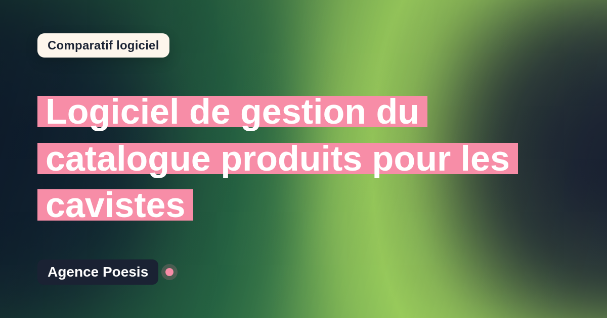 Logiciel de gestion du catalogue produits pour les cavistes : le comparatif (marché vs sur-mesure)