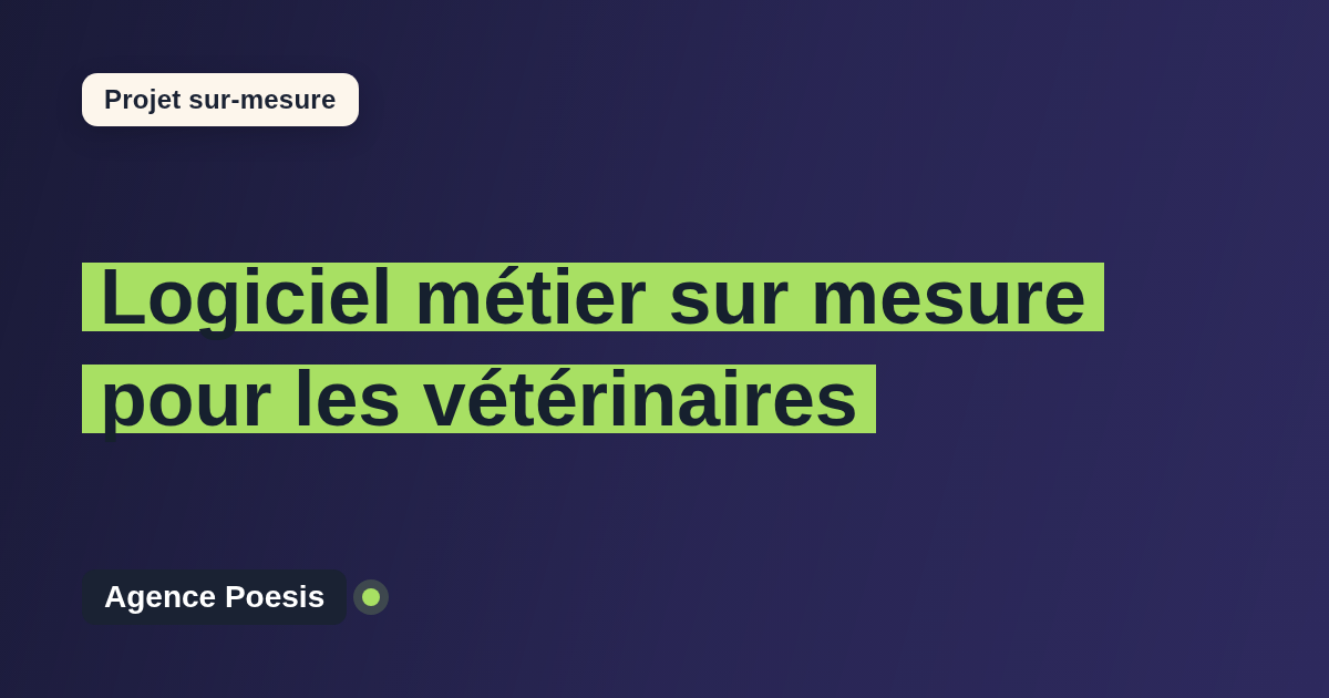 Logiciel métier sur mesure pour les vétérinaires : sur-mesure et sans dépendance