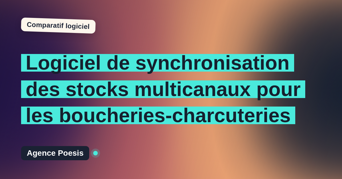 Logiciel de synchronisation des stocks multicanaux pour les boucheries-charcuteries : le comparatif (marché vs sur-mesure)