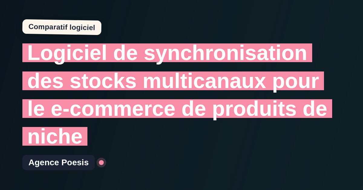Logiciel de synchronisation des stocks multicanaux pour le e-commerce de produits de niche : le comparatif (marché vs sur-mesure)