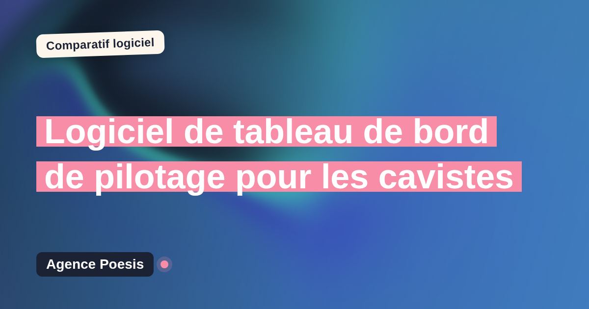 Logiciel de tableau de bord de pilotage pour les cavistes : le comparatif (marché vs sur-mesure)