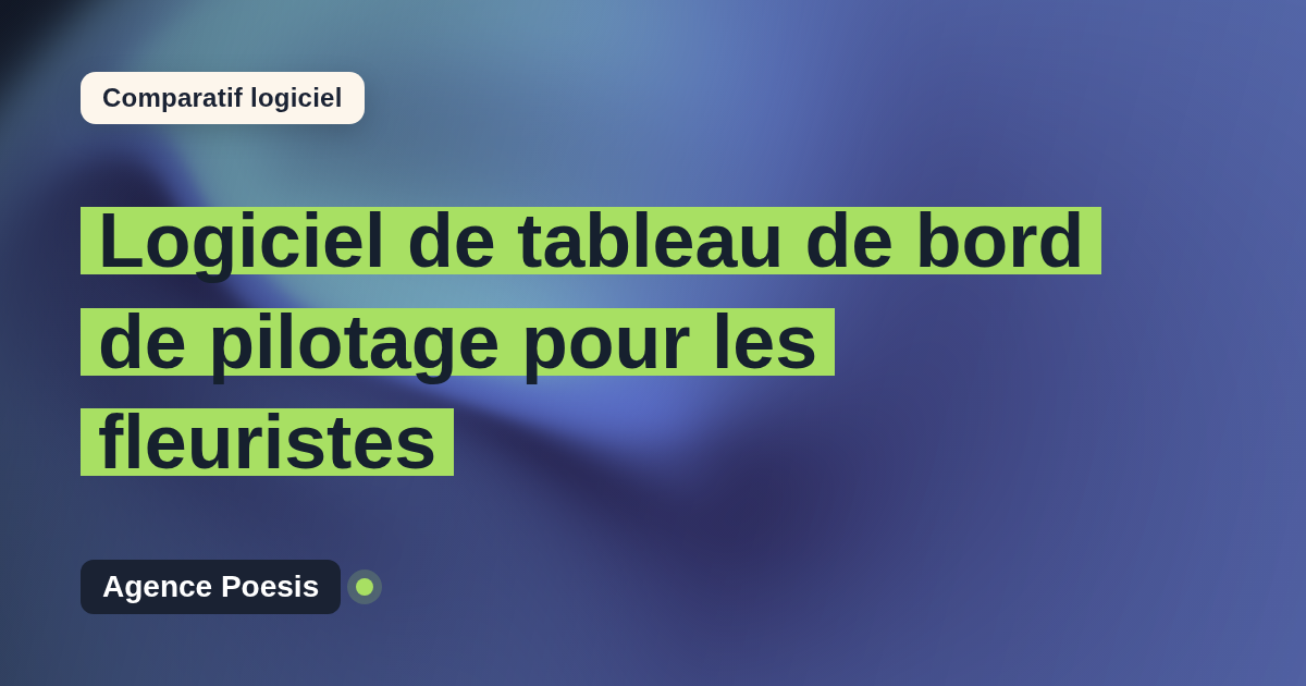 Logiciel de tableau de bord de pilotage pour les fleuristes : le comparatif (marché vs sur-mesure)