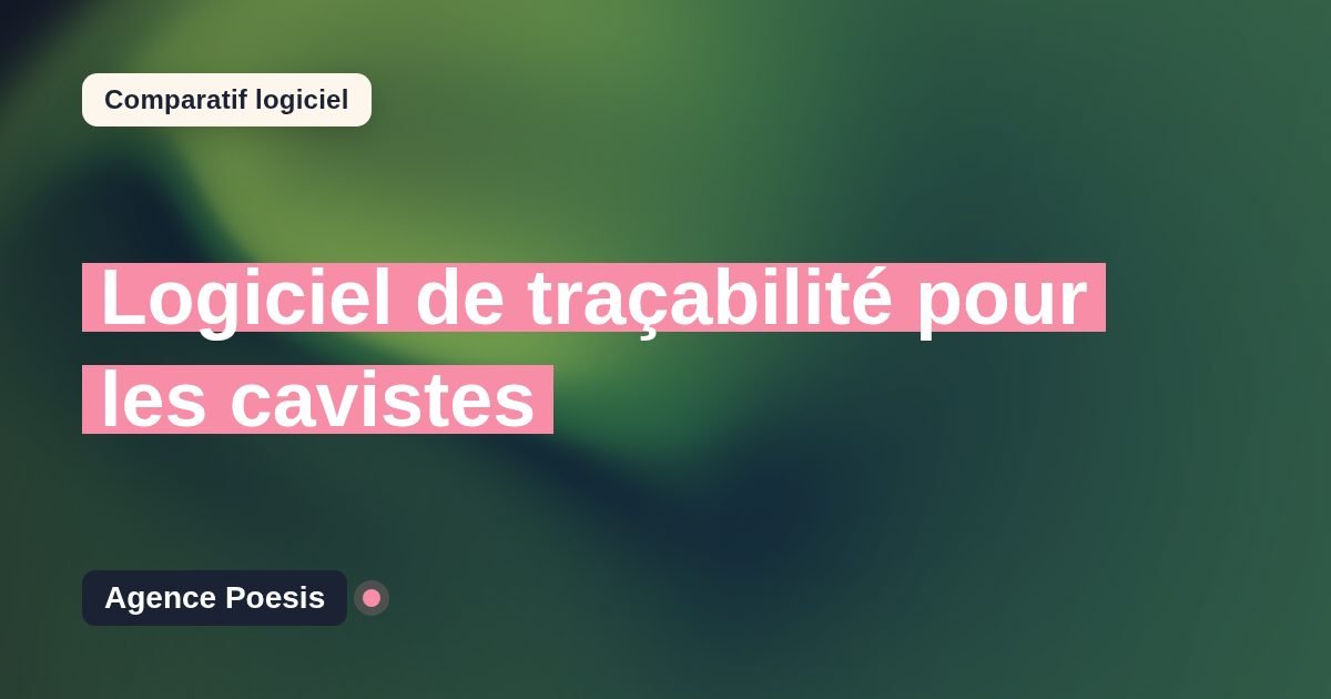 Logiciel de traçabilité pour les cavistes : le comparatif (marché vs sur-mesure)