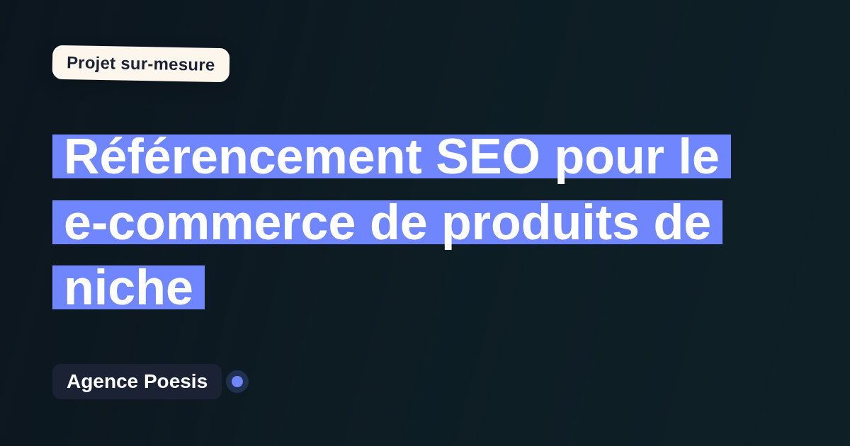 Référencement SEO pour le e-commerce de produits de niche : sur-mesure et sans dépendance